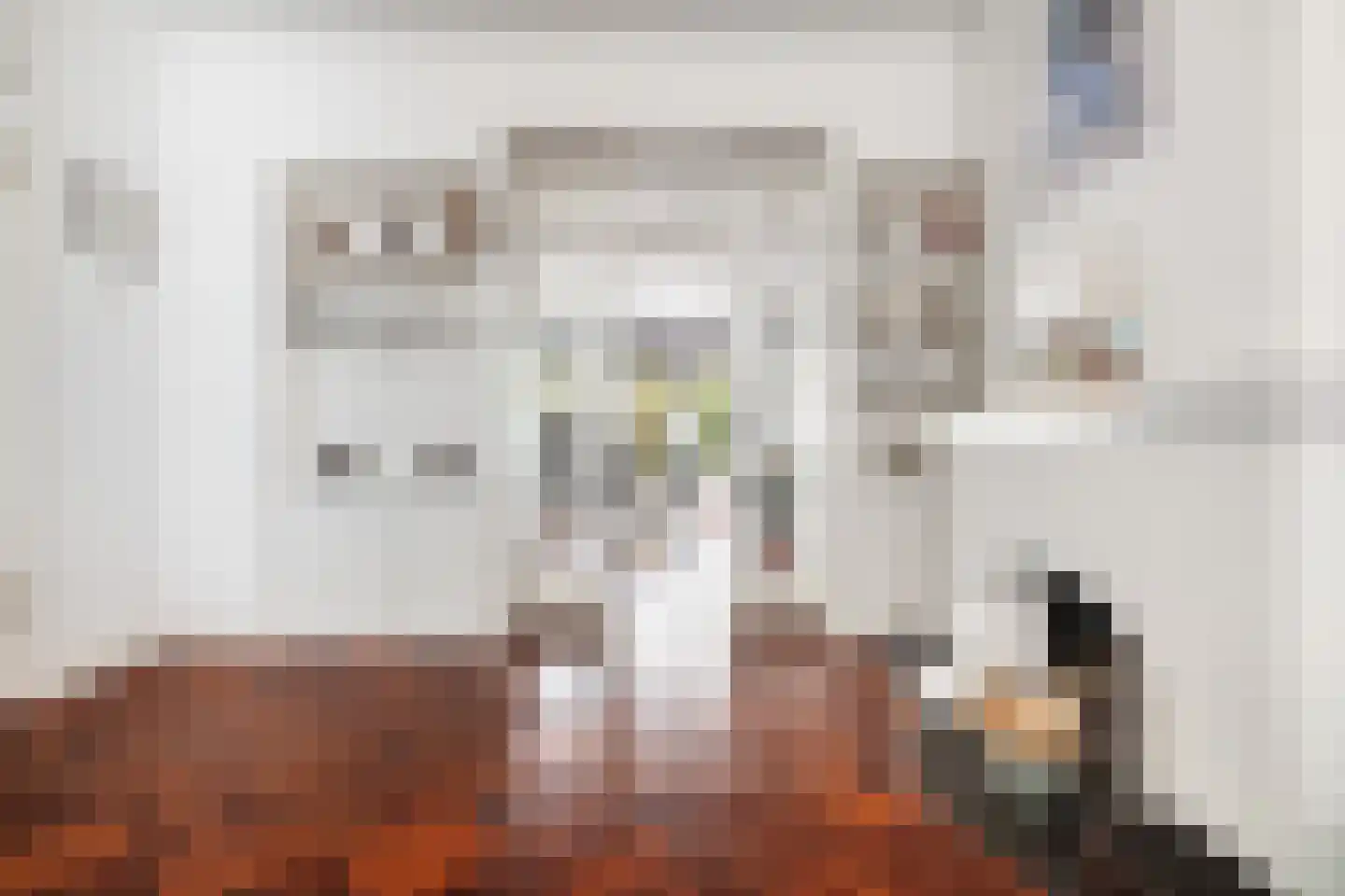 Van Ballegooijsingel 80 Rotterdam thumbnail 9