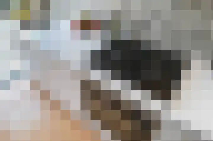 van Barbansonstraat 24 Voorburg thumbnail 12