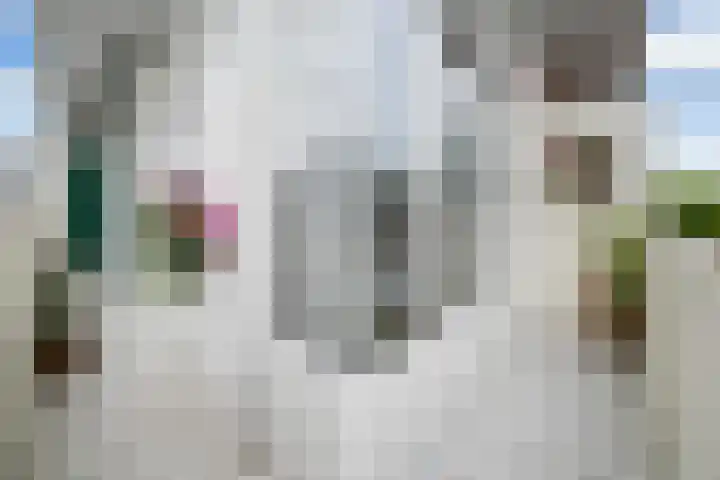 van Barbansonstraat 24 Voorburg thumbnail 18