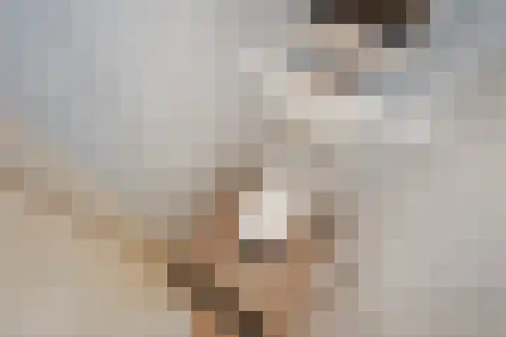 van Barbansonstraat 24 Voorburg thumbnail 30