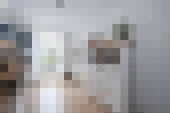 van Barbansonstraat 58 Voorburg thumbnail 16