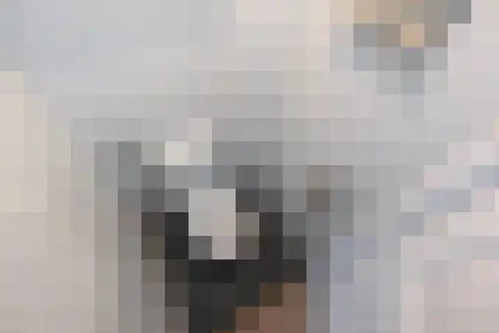 van Barbansonstraat 58 Voorburg thumbnail 9