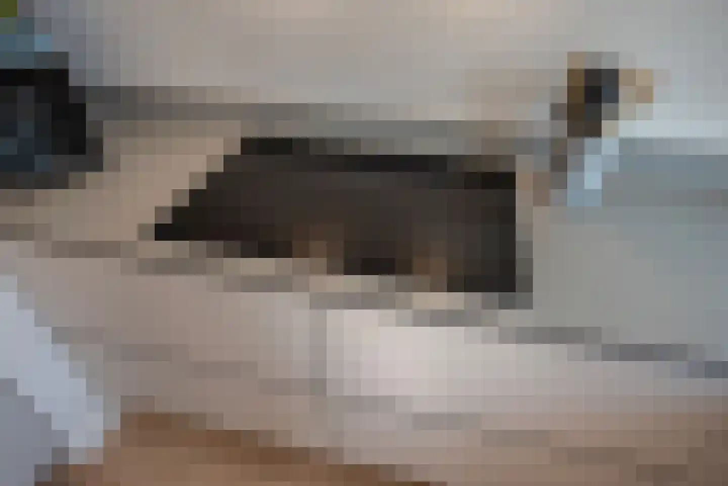 van Barbansonstraat 72 Voorburg thumbnail 21