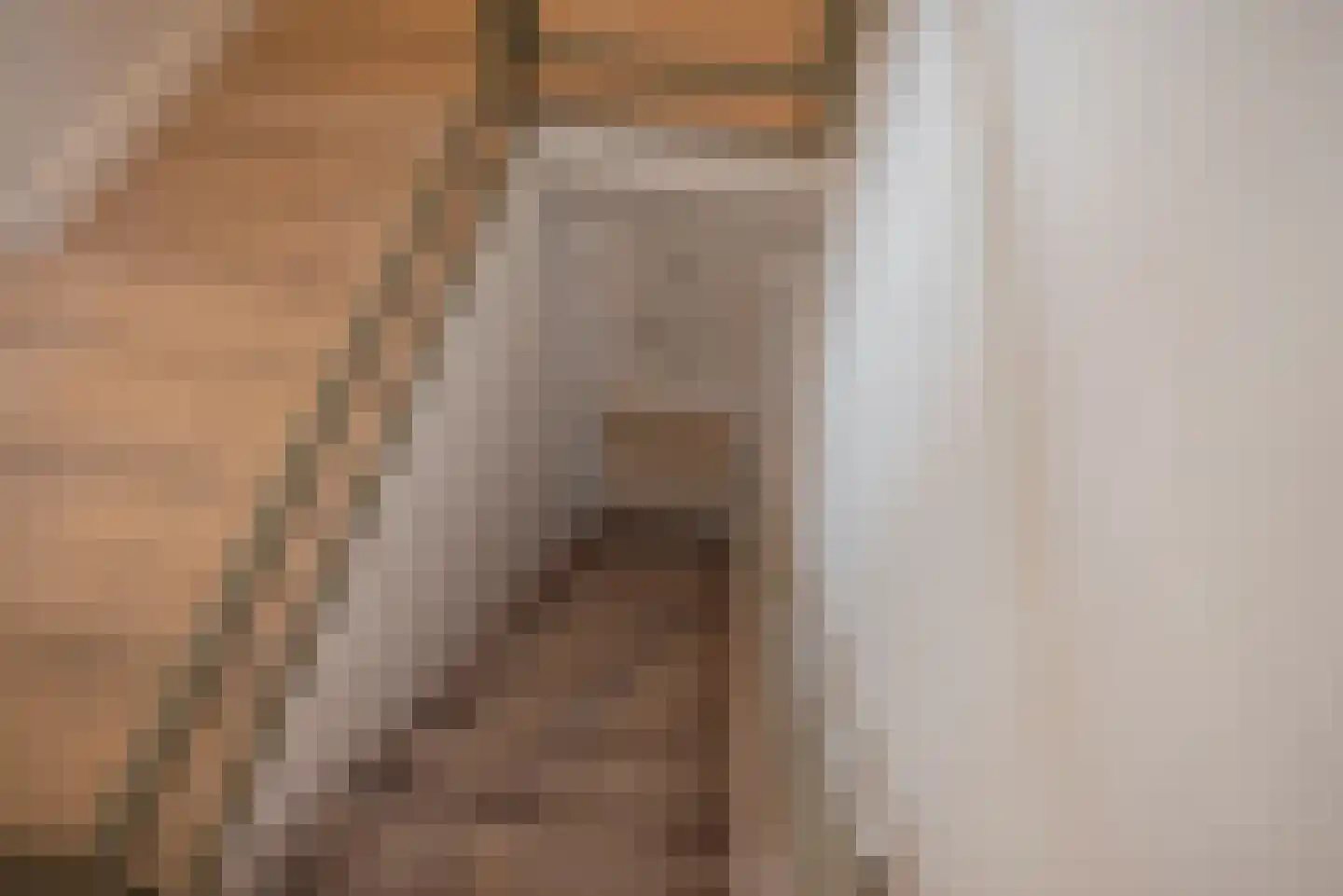 van Barbansonstraat 72 Voorburg thumbnail 29