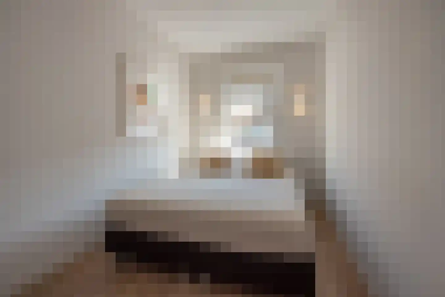 van Barbansonstraat 72 Voorburg thumbnail 32