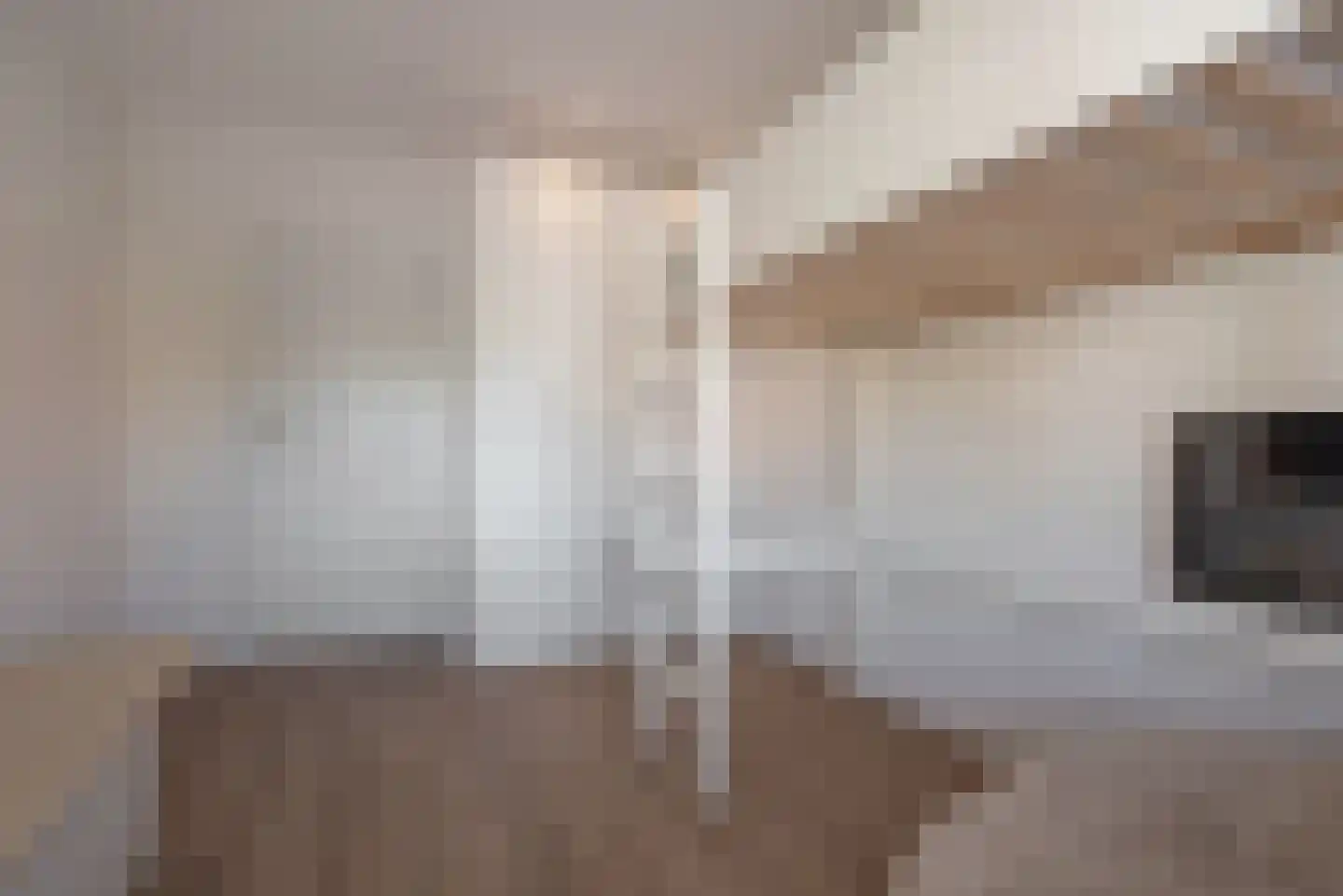 van Barbansonstraat 72 Voorburg thumbnail 35