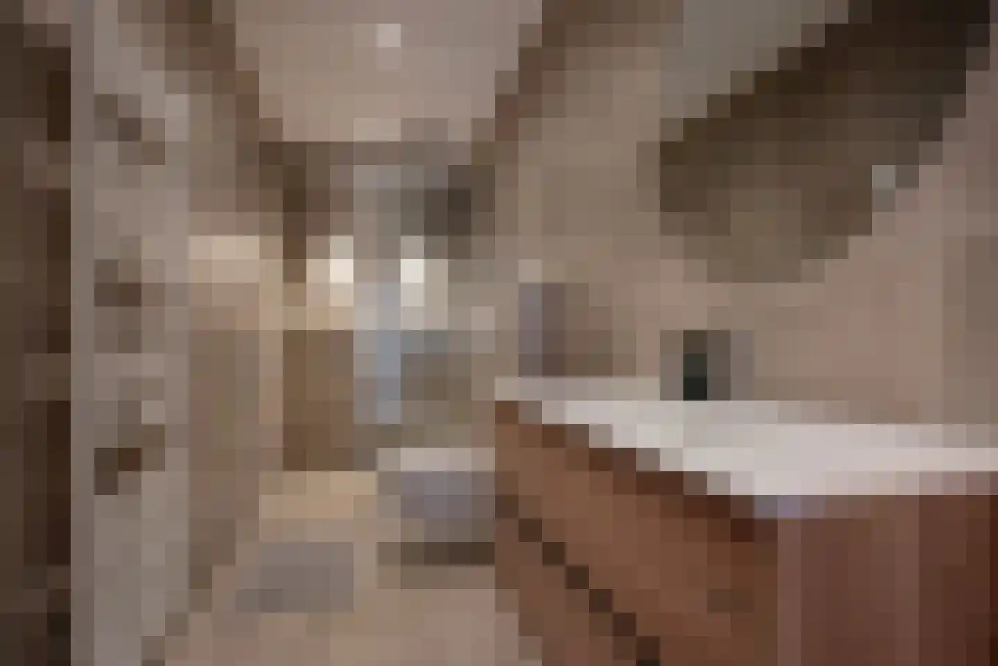 van Barbansonstraat 72 Voorburg thumbnail 37