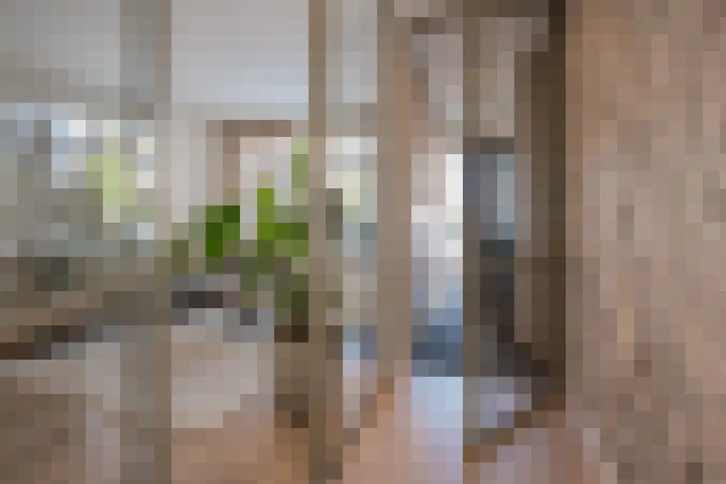 van Barbansonstraat 72 Voorburg thumbnail 6