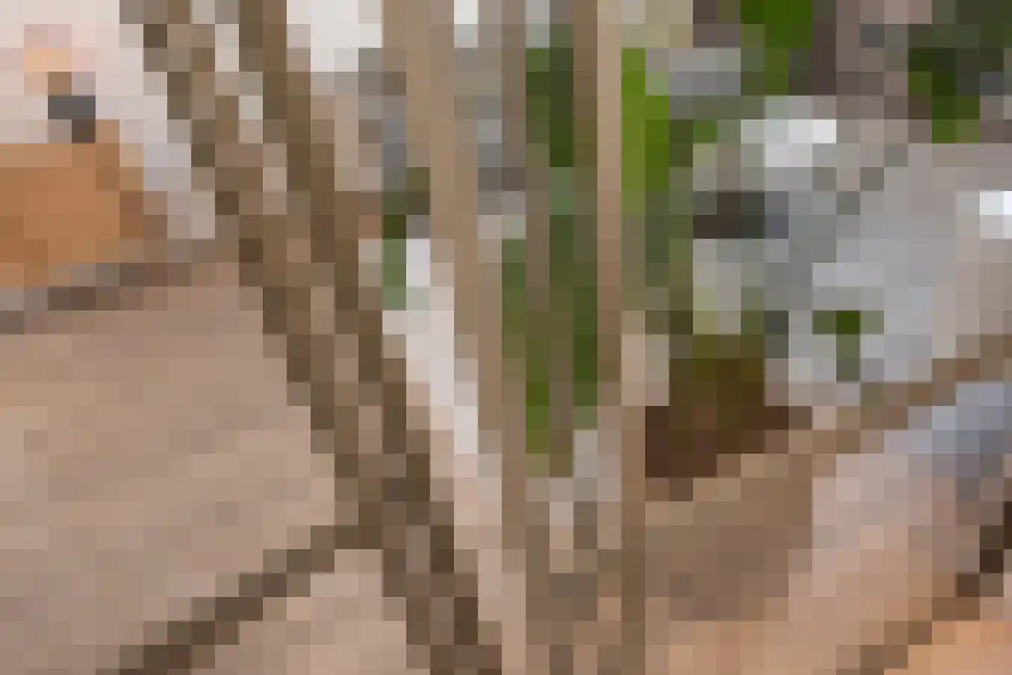 van Barbansonstraat 72 Voorburg thumbnail 9
