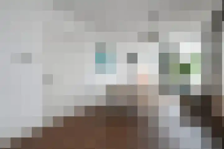 van Barbansonstraat 77 Voorburg thumbnail 11