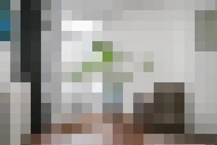 van Barbansonstraat 77 Voorburg thumbnail 15