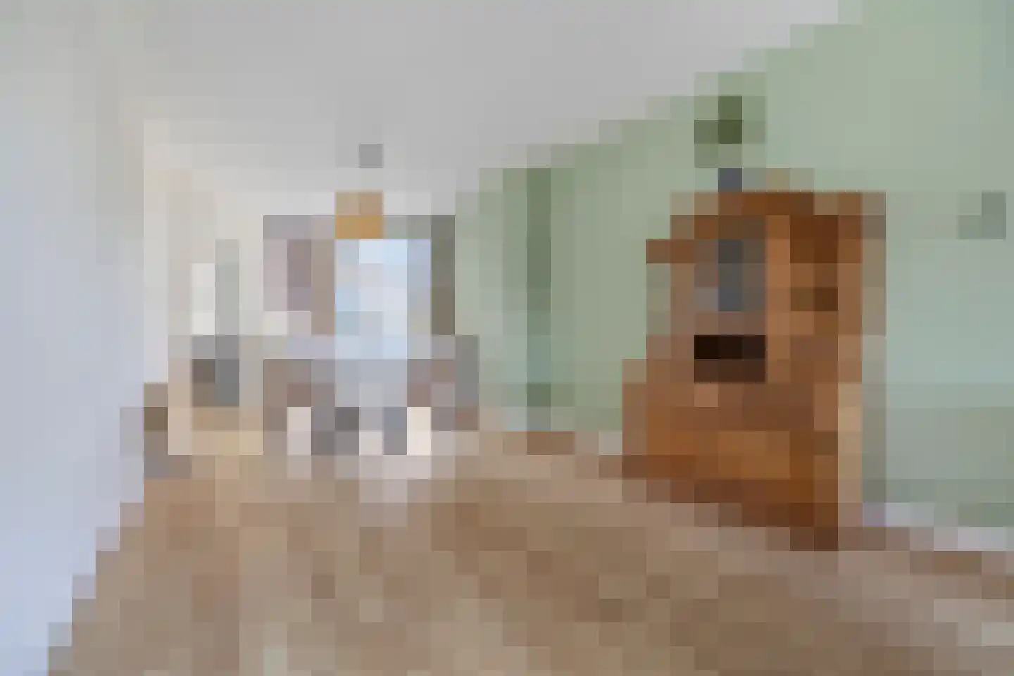 van Barbansonstraat 79 Voorburg thumbnail 4