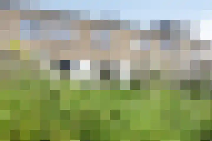 Van Barenstraat 16 Nieuw-Vennep thumbnail 18