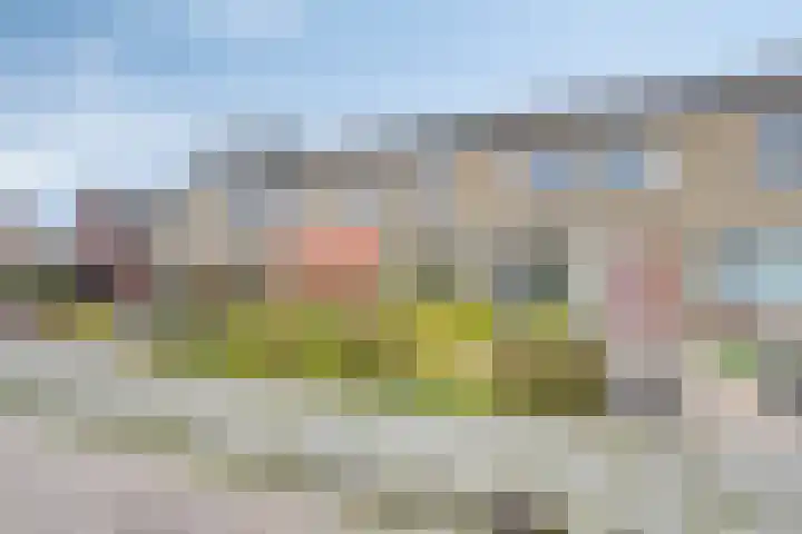 Van Barenstraat 16 Nieuw-Vennep thumbnail 23