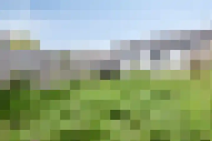 Van Barenstraat 16 Nieuw-Vennep thumbnail 6