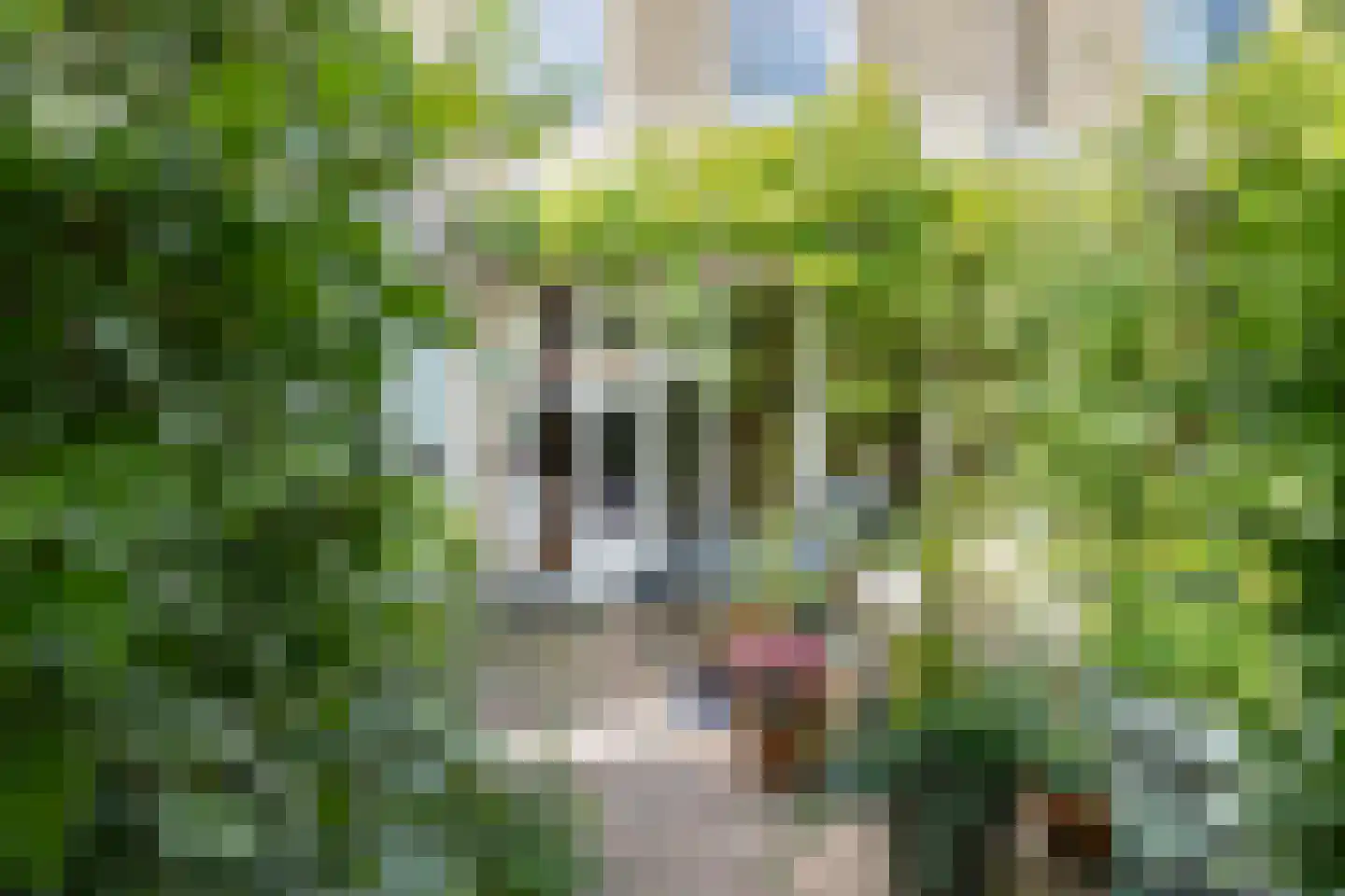 Van Barenstraat 35 Delft thumbnail 14