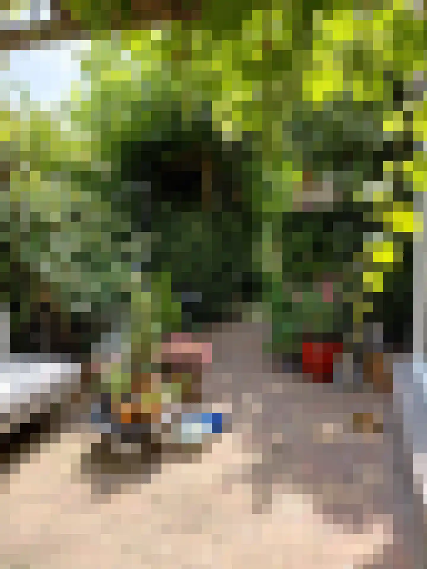 Van Barenstraat 35 Delft thumbnail 14