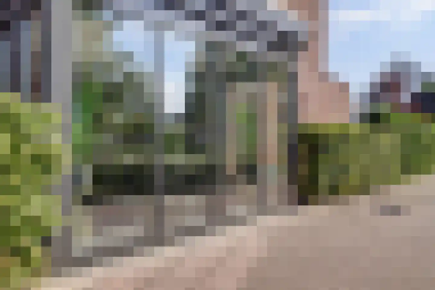 Van Barnevelderf 1 Veenendaal thumbnail 13