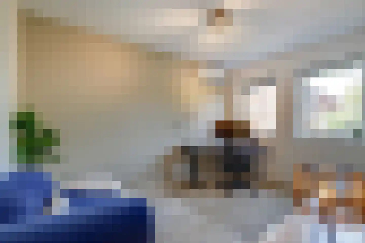 Van Barnevelderf 1 Veenendaal thumbnail 18