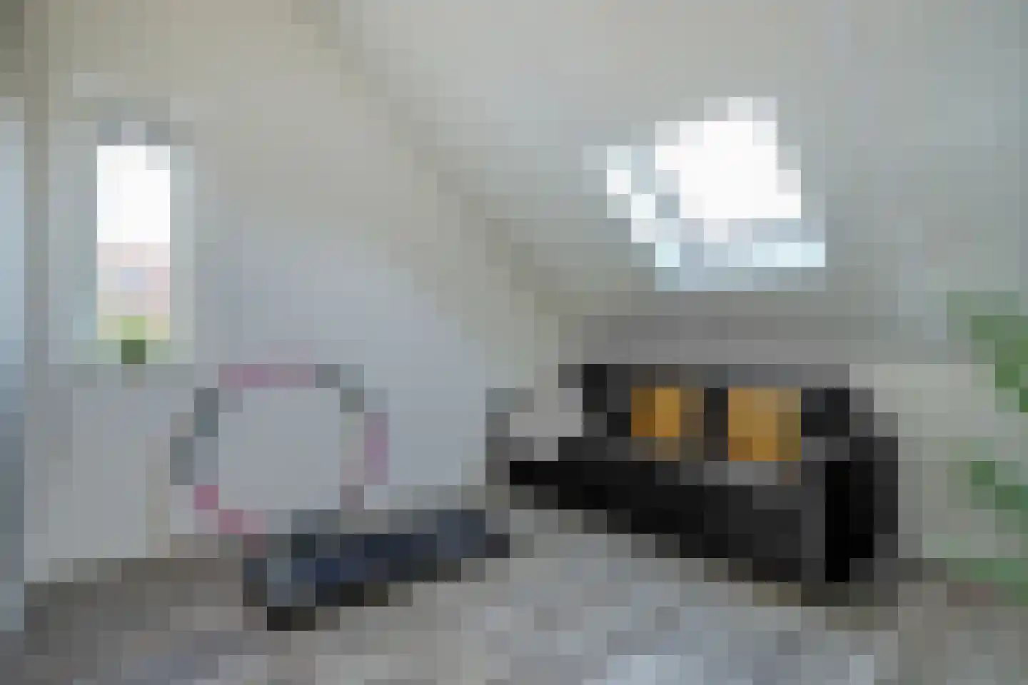 Van Barnevelderf 1 Veenendaal thumbnail 26