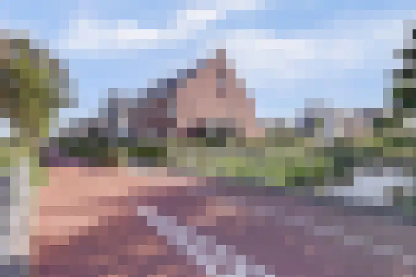 Van Barnevelderf 1 Veenendaal thumbnail 37