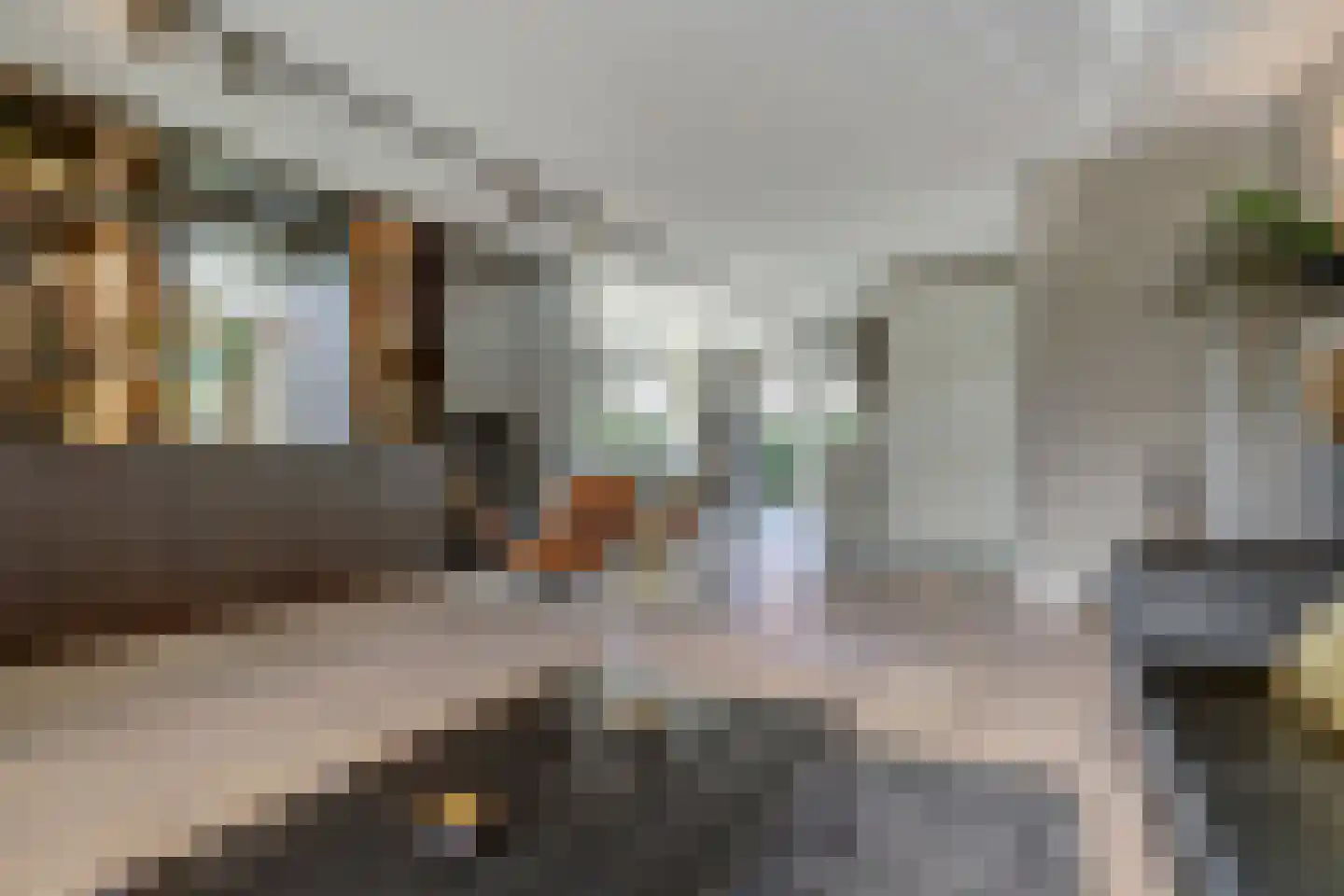 Van Barnevelderf 1 Veenendaal thumbnail 5