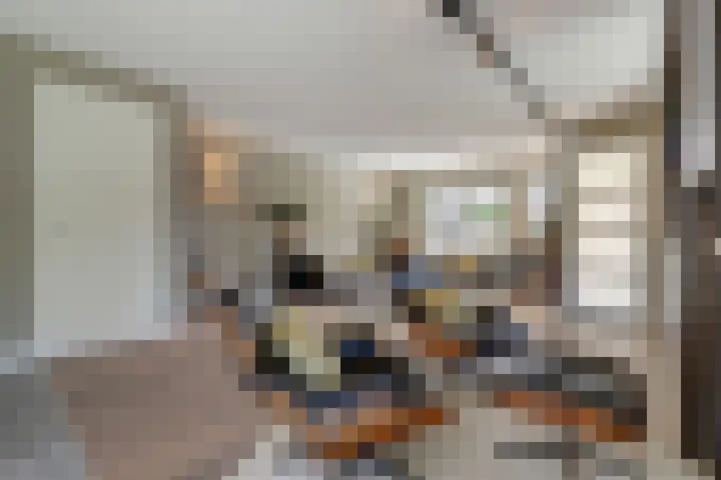 Van Barnevelderf 1 Veenendaal thumbnail 6
