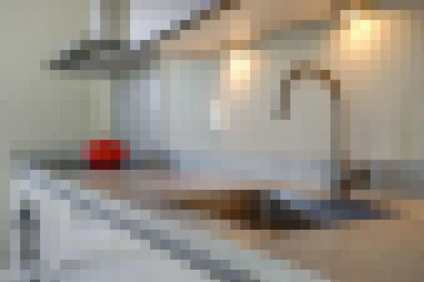 Van Barnevelderf 1 Veenendaal thumbnail 8
