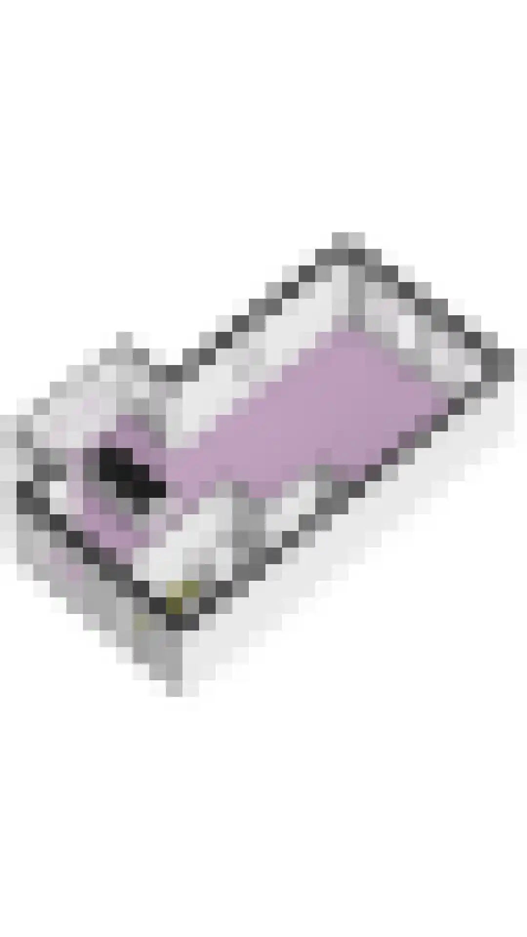 Van Barnevelderf 27 Veenendaal thumbnail 28