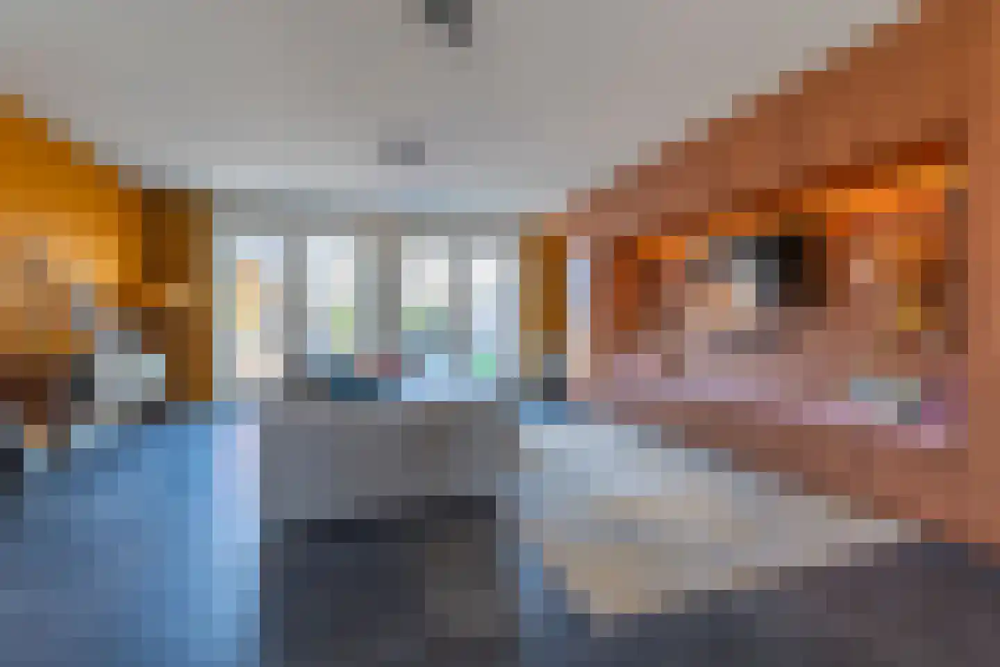 Van Barnevelderf 27 Veenendaal thumbnail 6
