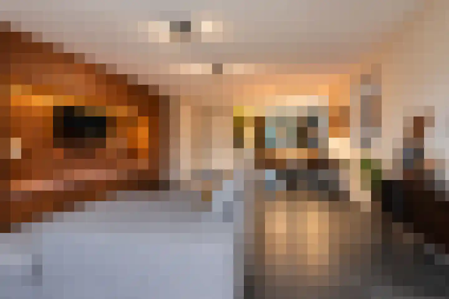 Van Barnevelderf 27 Veenendaal thumbnail 8