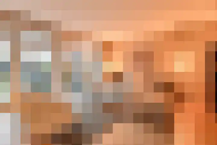 Van Barnevelderf 3 Veenendaal thumbnail 12