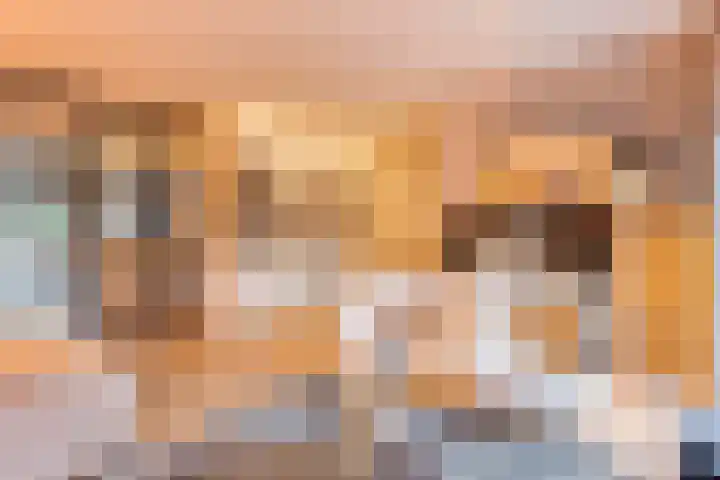 Van Barnevelderf 3 Veenendaal thumbnail 17