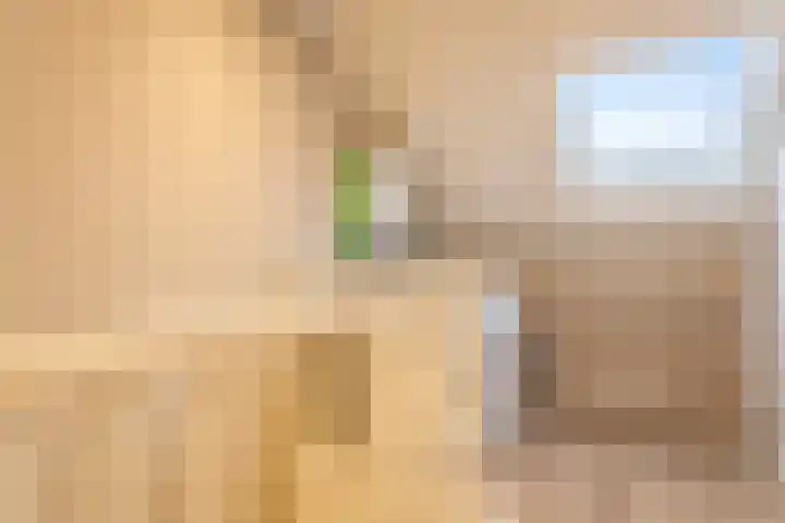 Van Barnevelderf 3 Veenendaal thumbnail 39