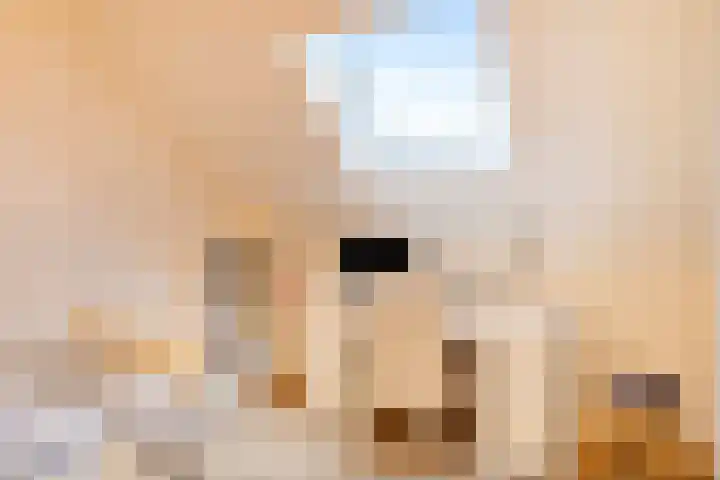Van Barnevelderf 3 Veenendaal thumbnail 42