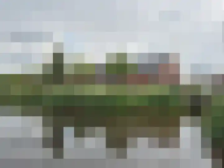 Van Barnevelderf 3 Veenendaal thumbnail 6