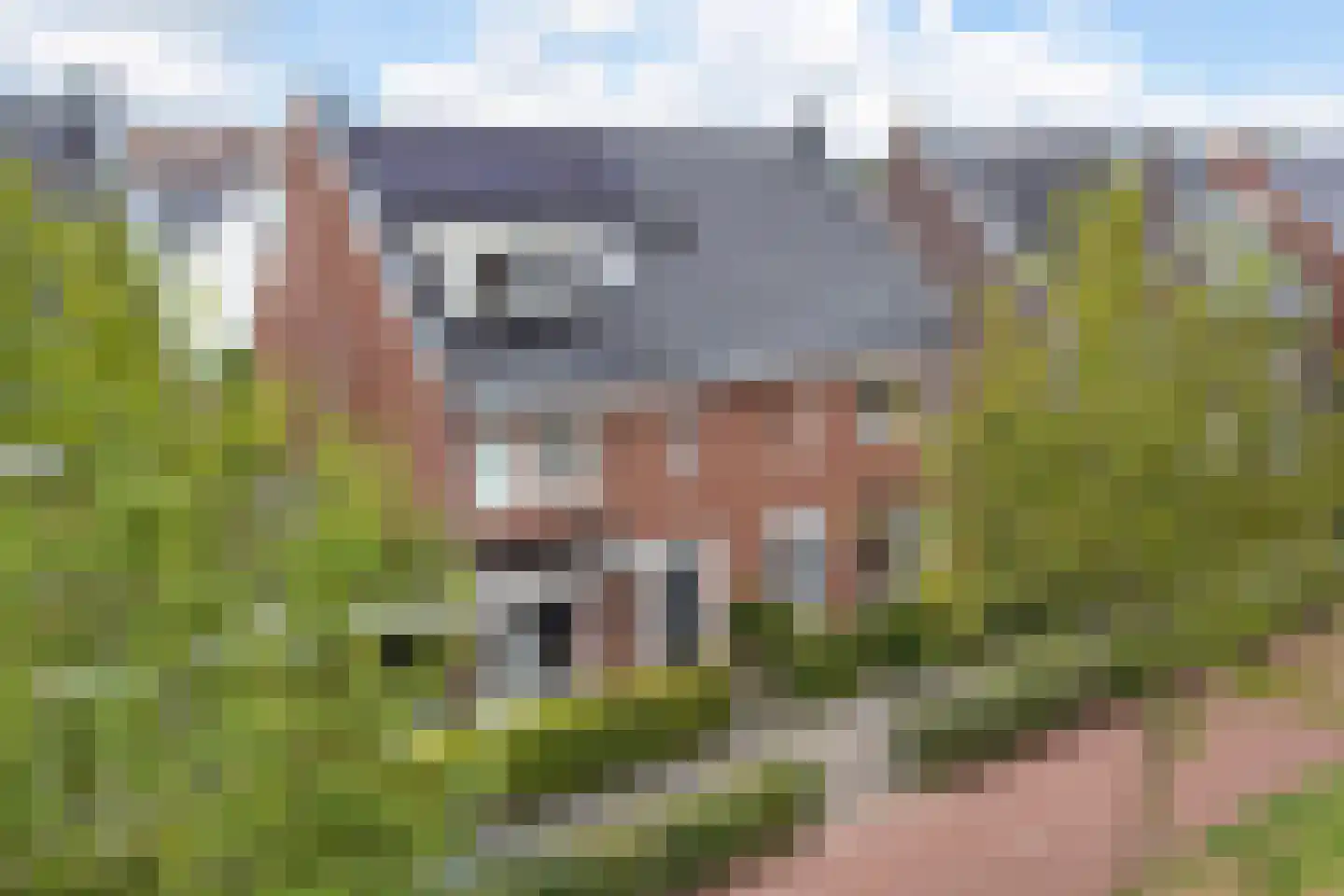 Van Barnevelderf 9 Veenendaal thumbnail 34