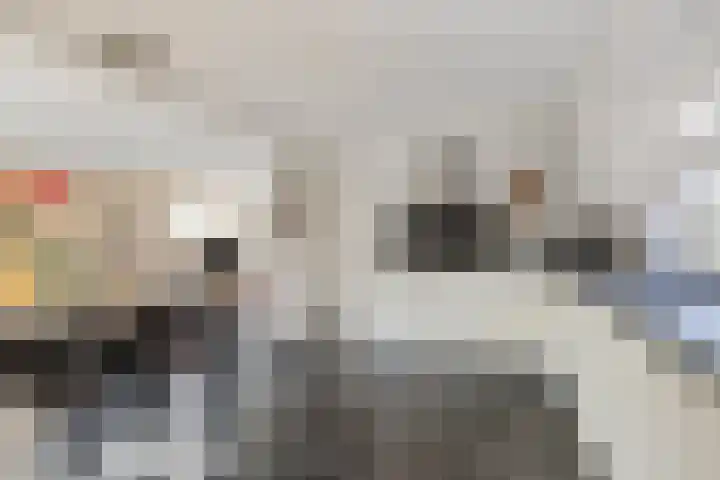 van Barneveldlaan 35 Wehl thumbnail 10
