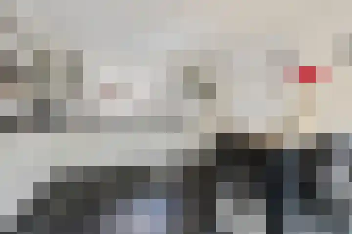 van Barneveldlaan 35 Wehl thumbnail 11