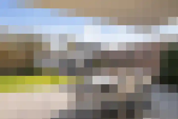 van Barneveldlaan 35 Wehl thumbnail 13