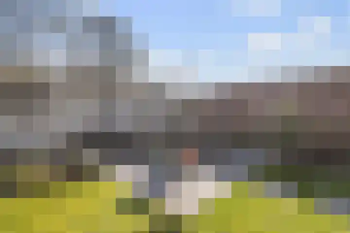 van Barneveldlaan 35 Wehl thumbnail 15