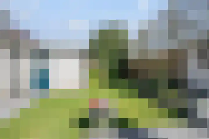 van Barneveldlaan 35 Wehl thumbnail 17
