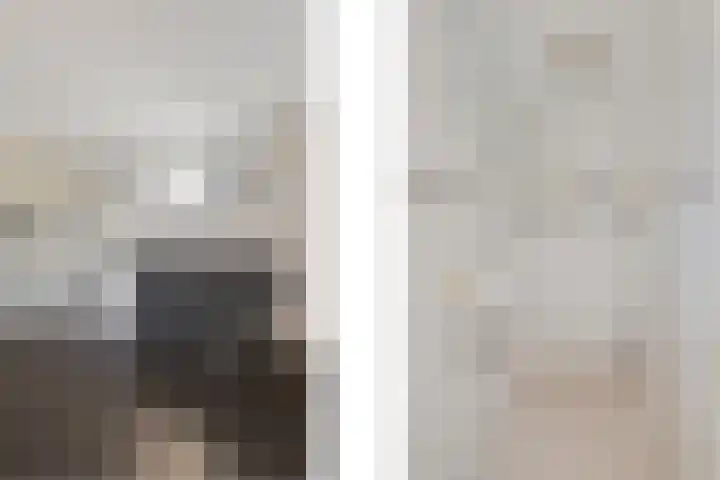 van Barneveldlaan 35 Wehl thumbnail 22