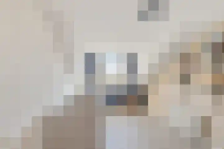 van Barneveldlaan 35 Wehl thumbnail 26
