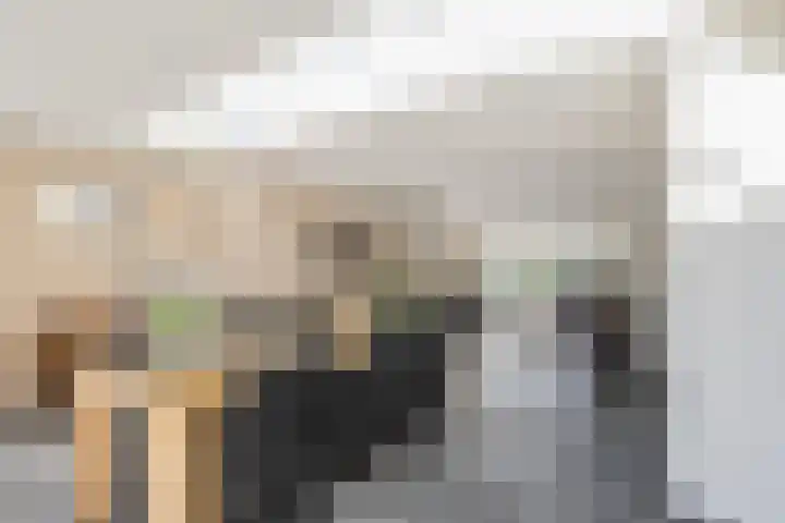 van Barneveldlaan 35 Wehl foto 3