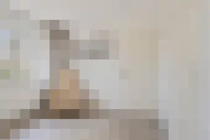 van Barneveldlaan 35 Wehl thumbnail 31