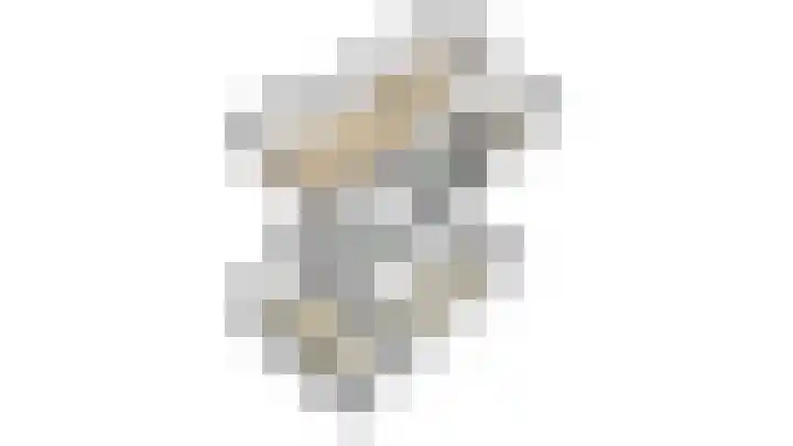 van Barneveldlaan 35 Wehl thumbnail 36