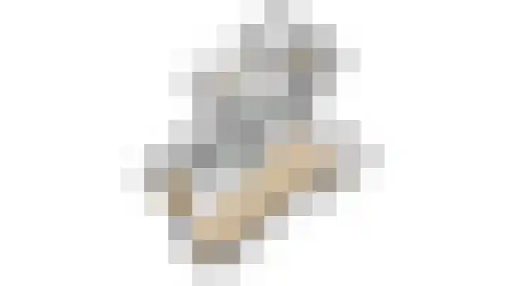 van Barneveldlaan 35 Wehl thumbnail 37