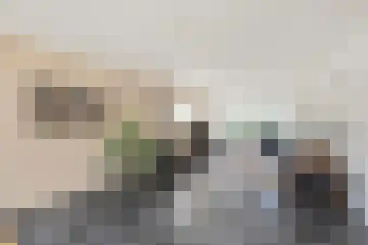 van Barneveldlaan 35 Wehl thumbnail 4