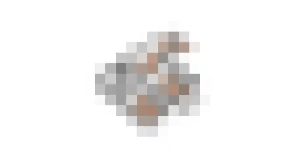 van Barneveldlaan 35 Wehl thumbnail 40